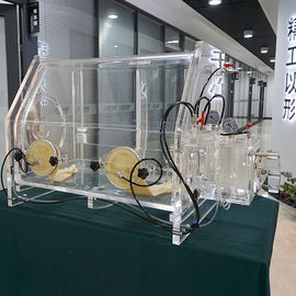 Doos van de bank de Hoogste Vacuümhandschoen met Vacuümatmosfeerbescherming voor Laboratorium