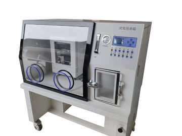 Vacuümlaboratorium Anaërobe Incubator/de Anaërobe Kamer van de Bacteriëncultuur